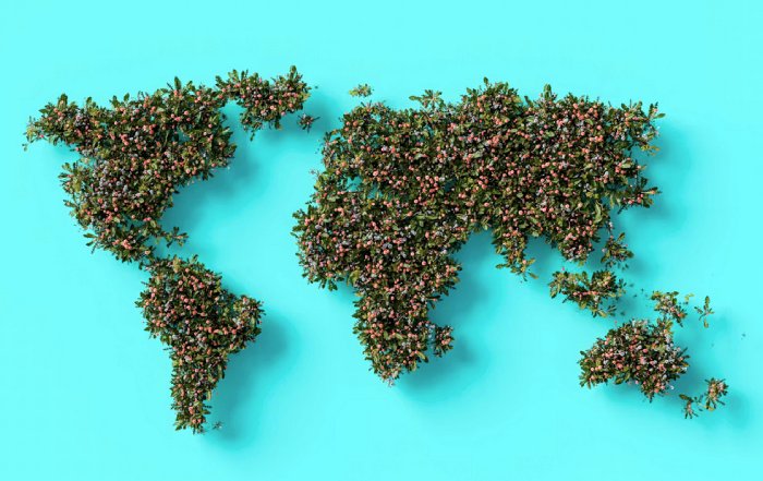 Article Image for Health-Focused Living Trends Spreading Internationally