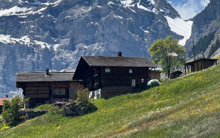 Article Image for How Switzerland's Alps Inspire a Unique Fitness Mindset