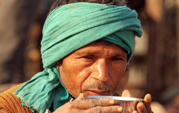 Article Image for Key Health Habits Shared by Long-Living Populations