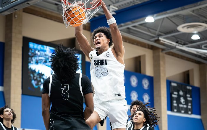 Article Image for The Cultural Significance of Sport in North America