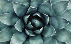 Article Image for The Impact of Wellness Culture on Urban Living