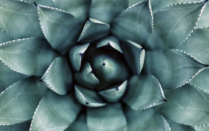 Article Image for The Impact of Wellness Culture on Urban Living