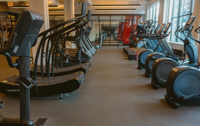 Article Image for The Role of Genetics in Personalized Fitness Plans