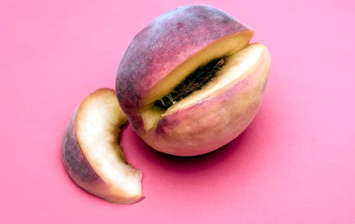 Article Image for The Snack Hacks That Keep You Full and Focused