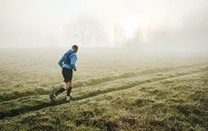 Article Image for Trail Running: A Beginner's Guide to Getting Off-Road