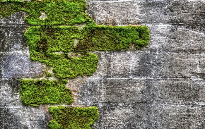 Article Image for Why Global Brands Are Investing in Sustainability