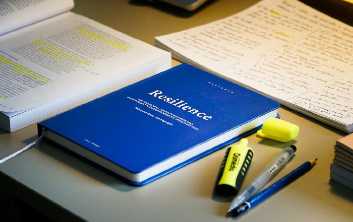 Article Image for Why Mental Resilience is the New Must-Have Skill